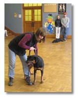 Dog Class Schedule - Animal Behavior Specialists Inc.